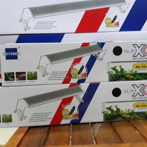 đèn gác odyssea slim X350